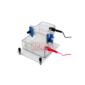 Gel Electrophoresis Vertical
